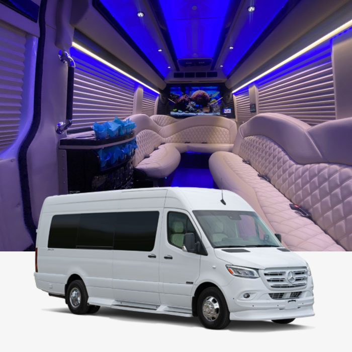 white mercedes sprinter limo